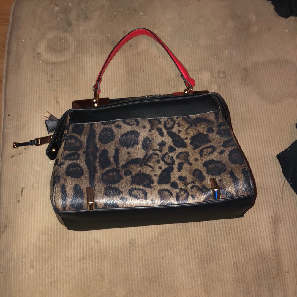 Leopard Print Aldo bag